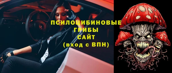а пвп мука Инта